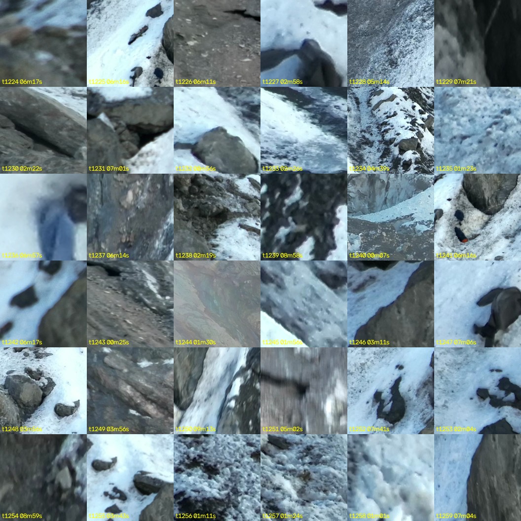 montage_34.jpg