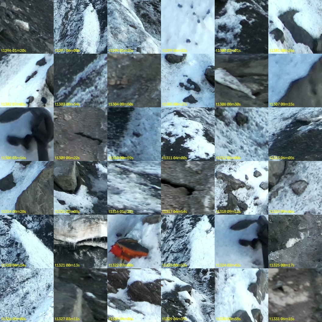 montage_36.jpg