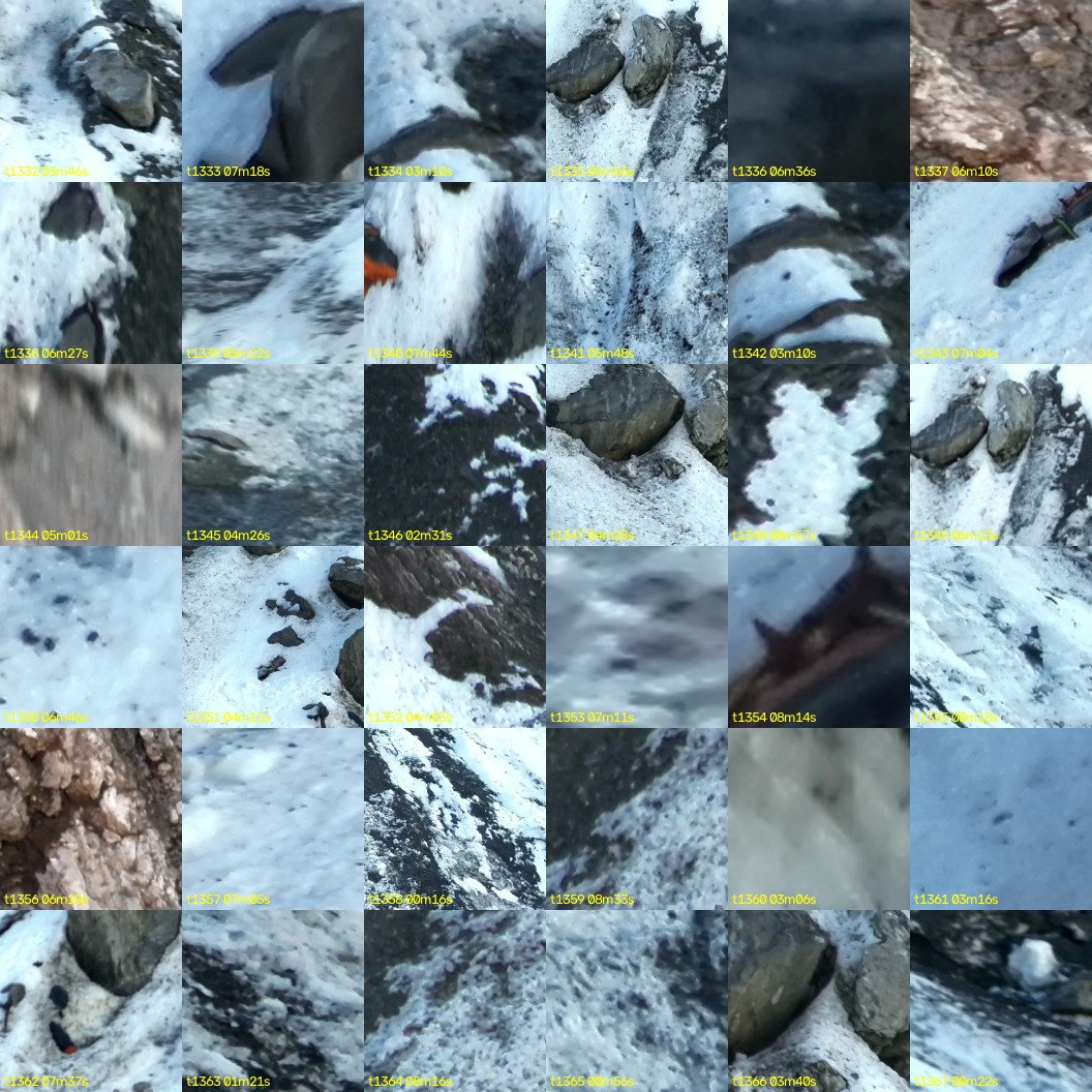 montage_37.jpg