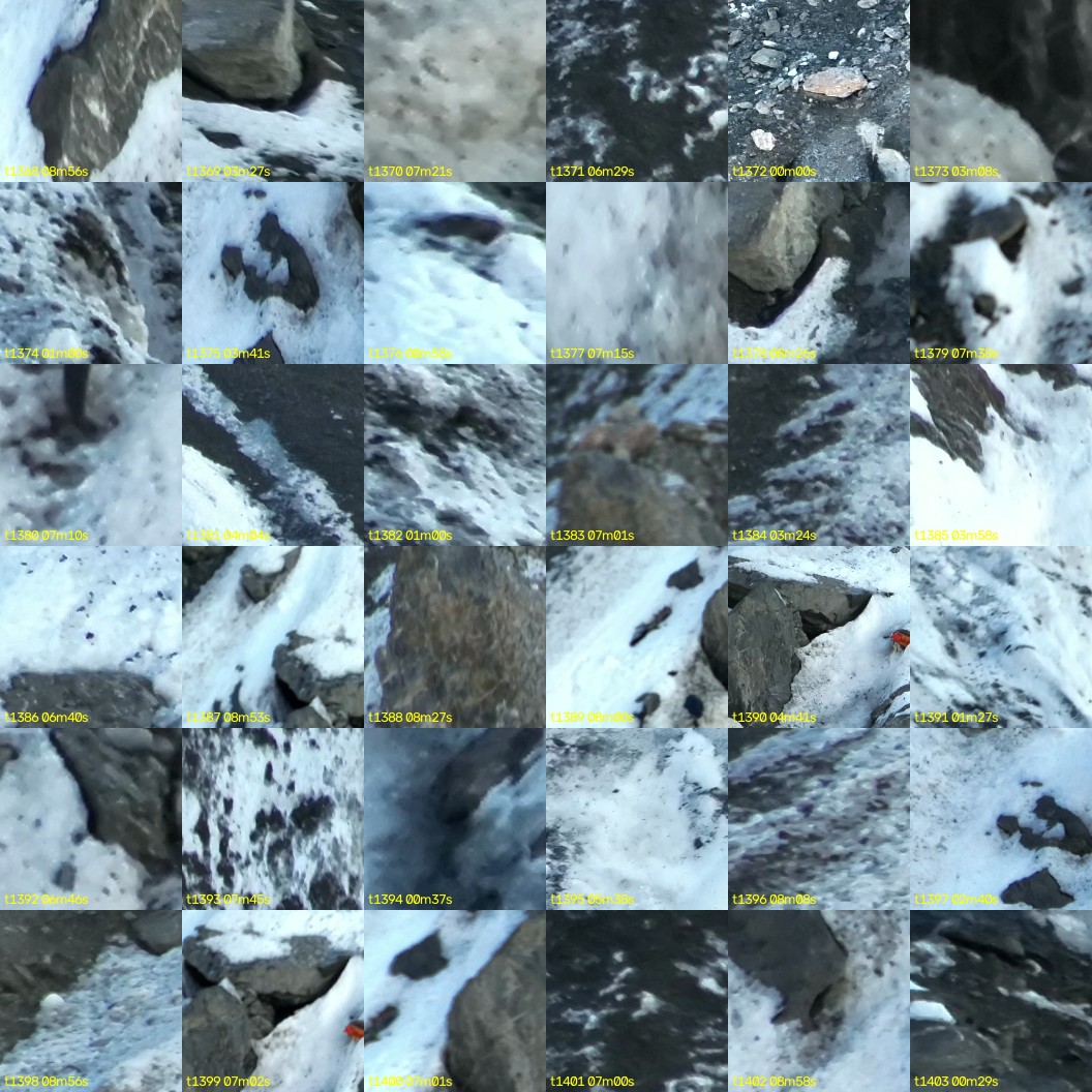 montage_38.jpg