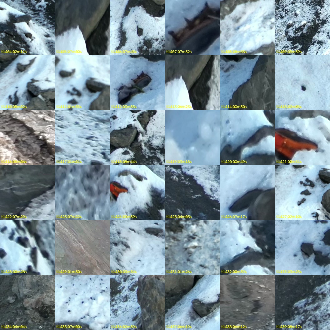 montage_39.jpg