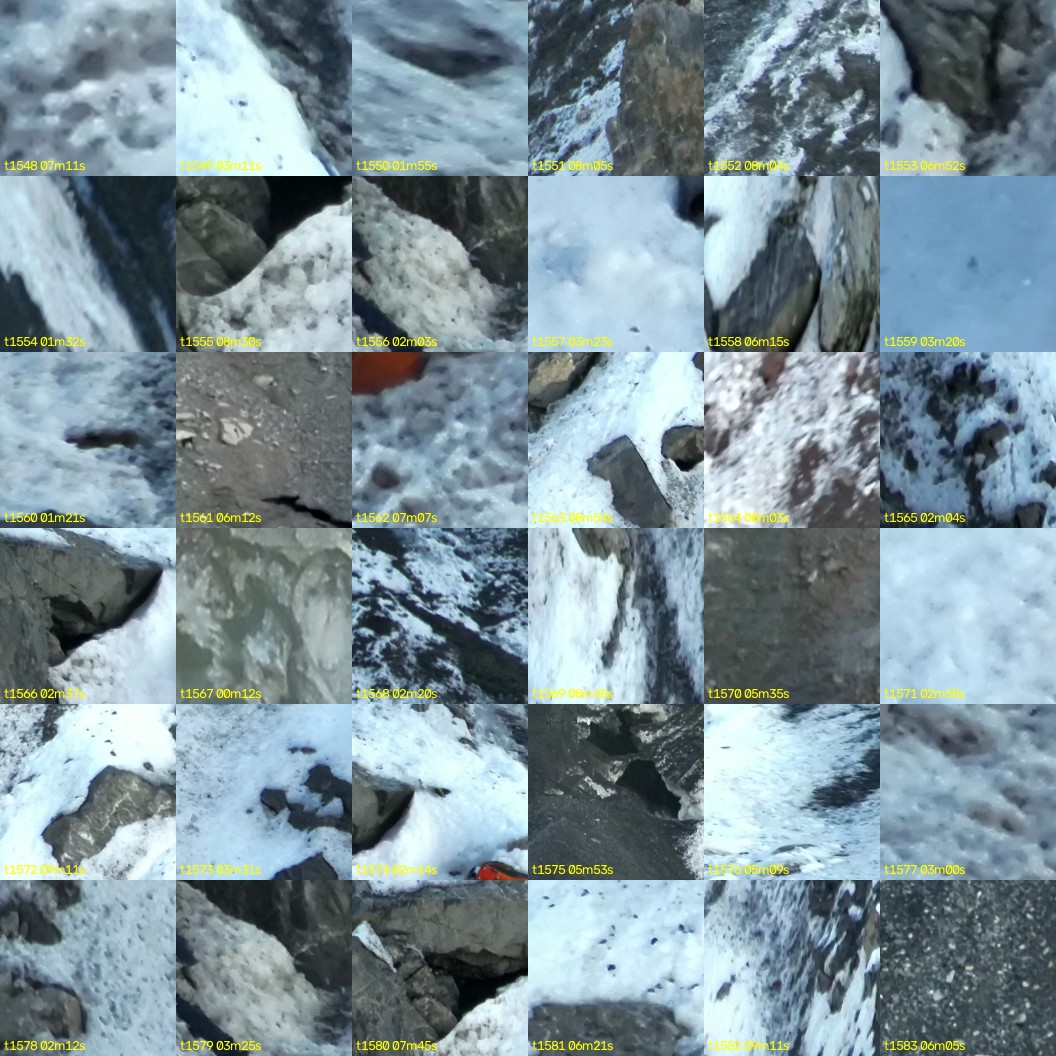 montage_43.jpg