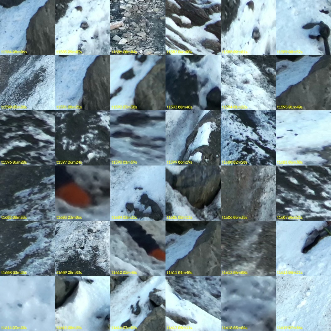 montage_44.jpg