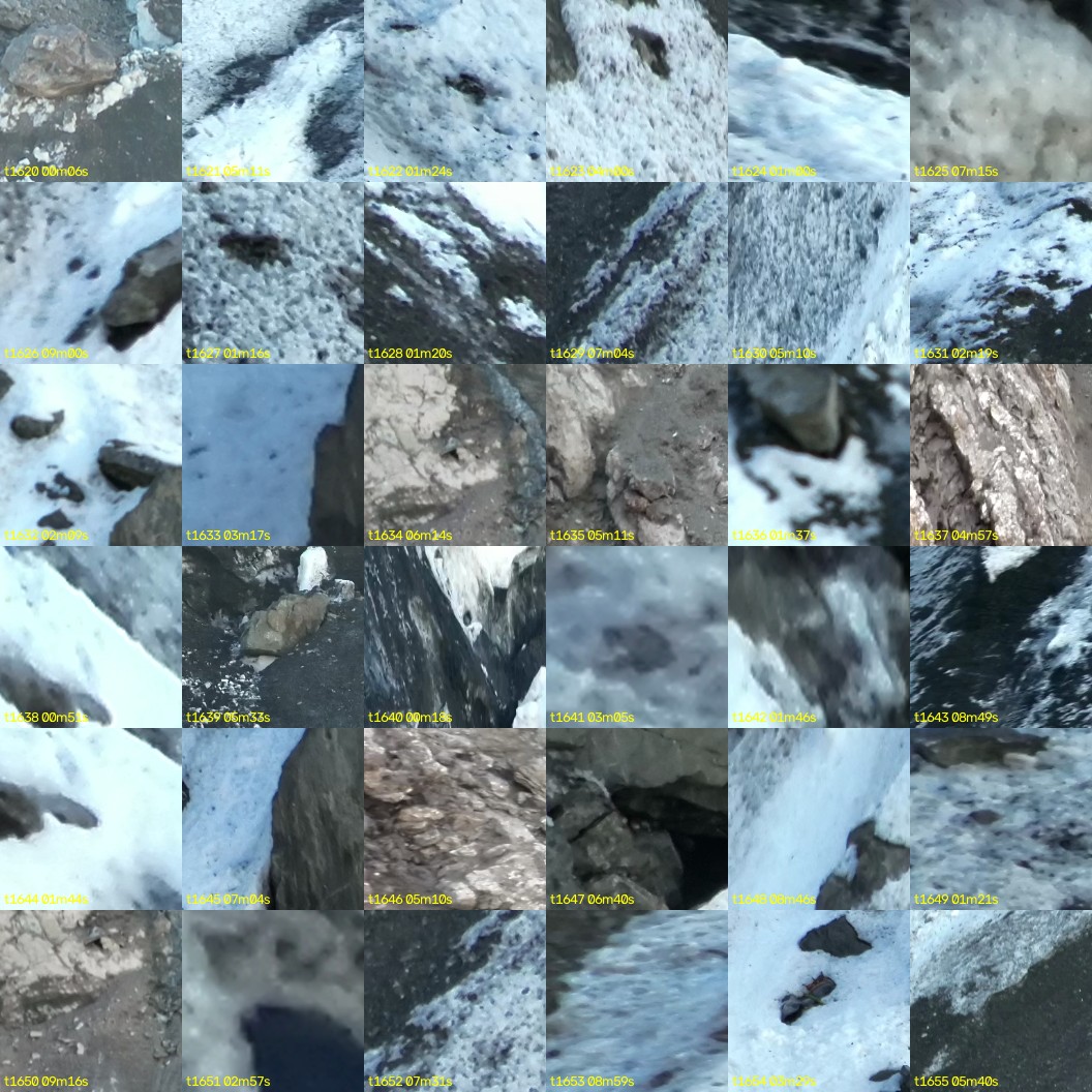 montage_45.jpg