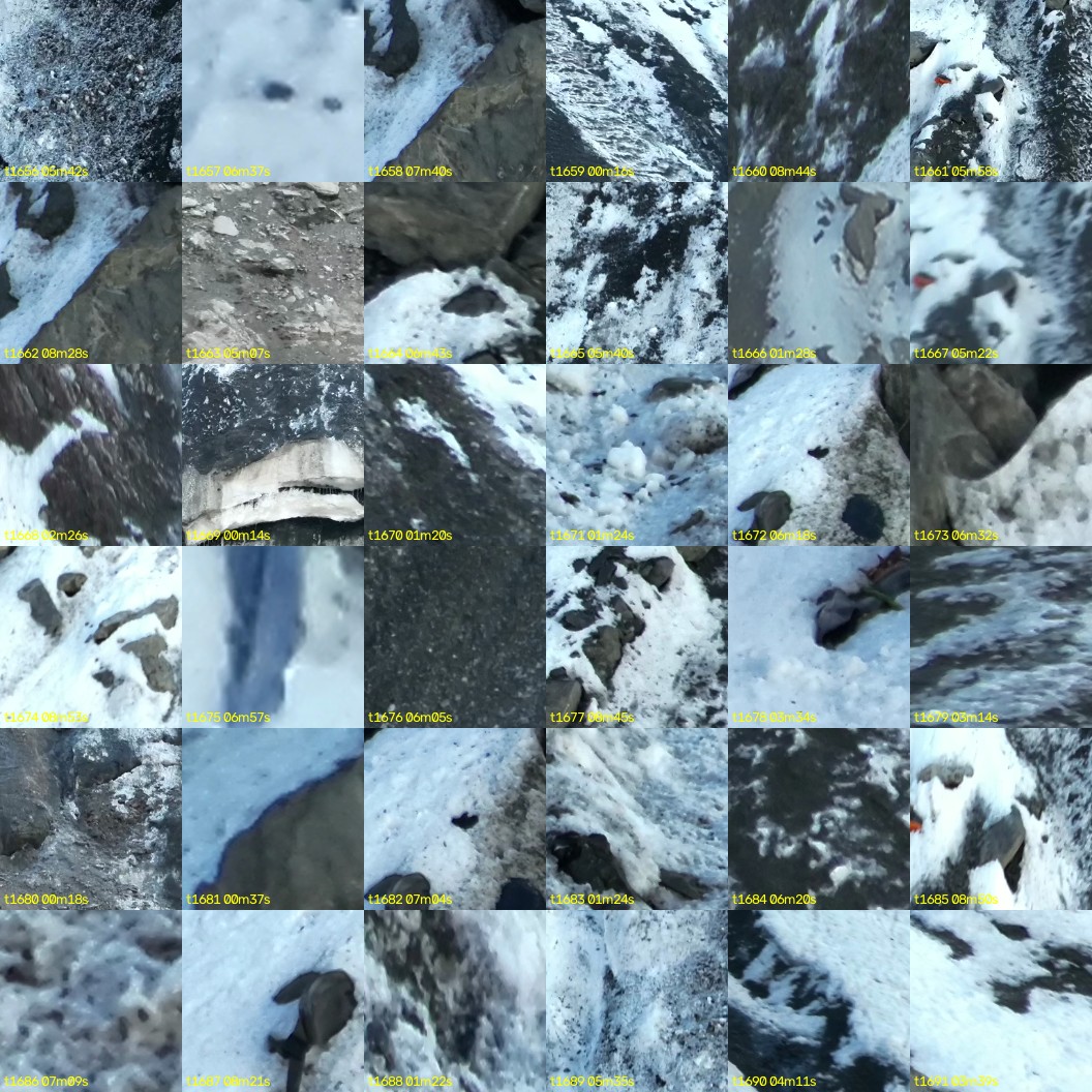 montage_46.jpg