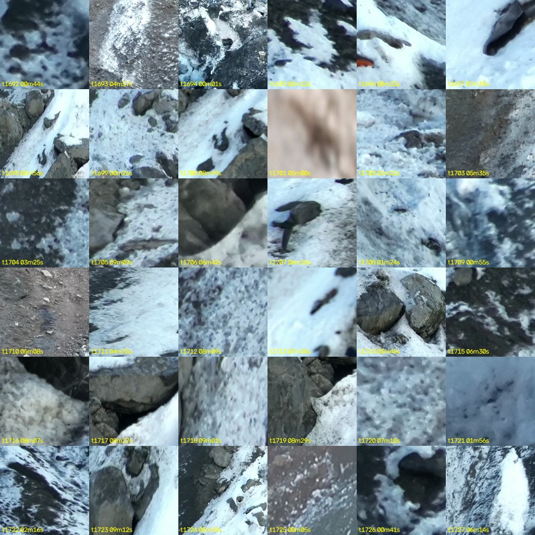 montage_47.jpg