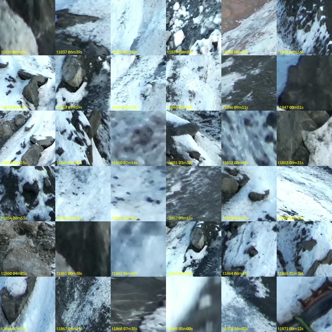 montage_51.jpg
