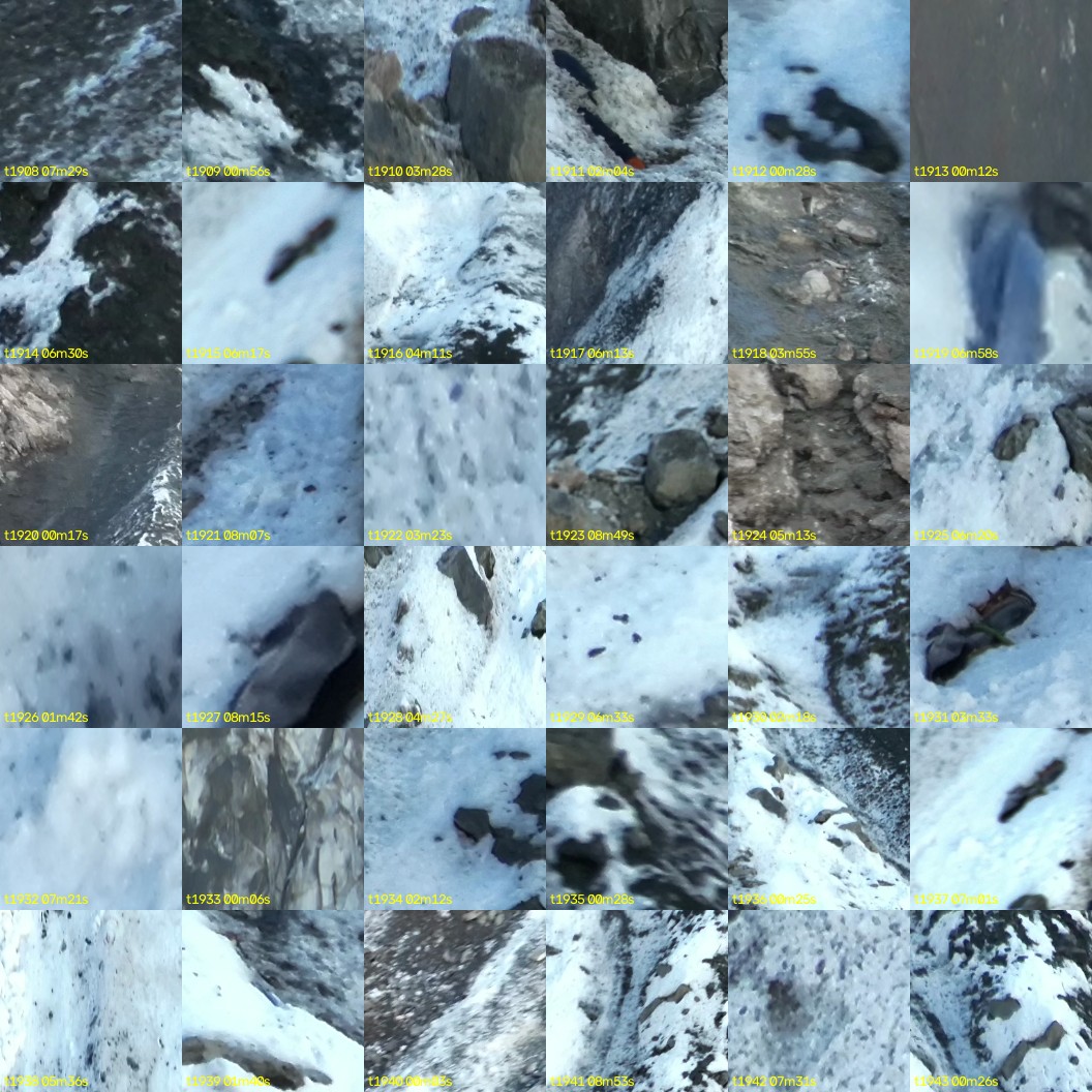 montage_53.jpg