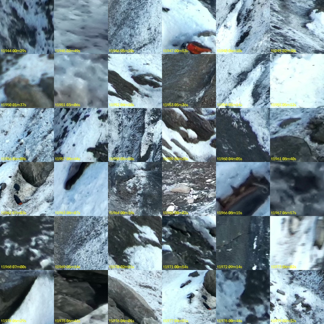montage_54.jpg