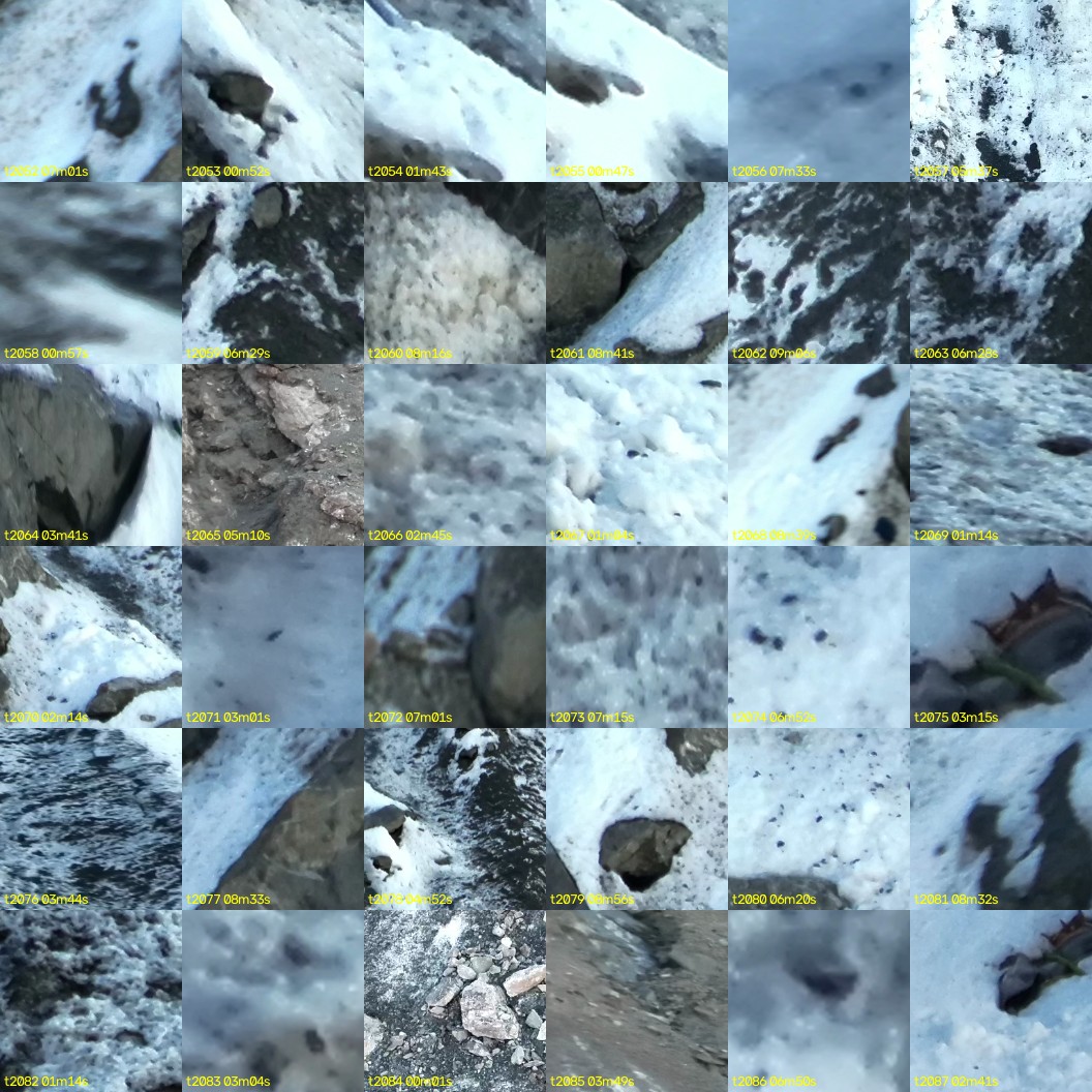 montage_57.jpg