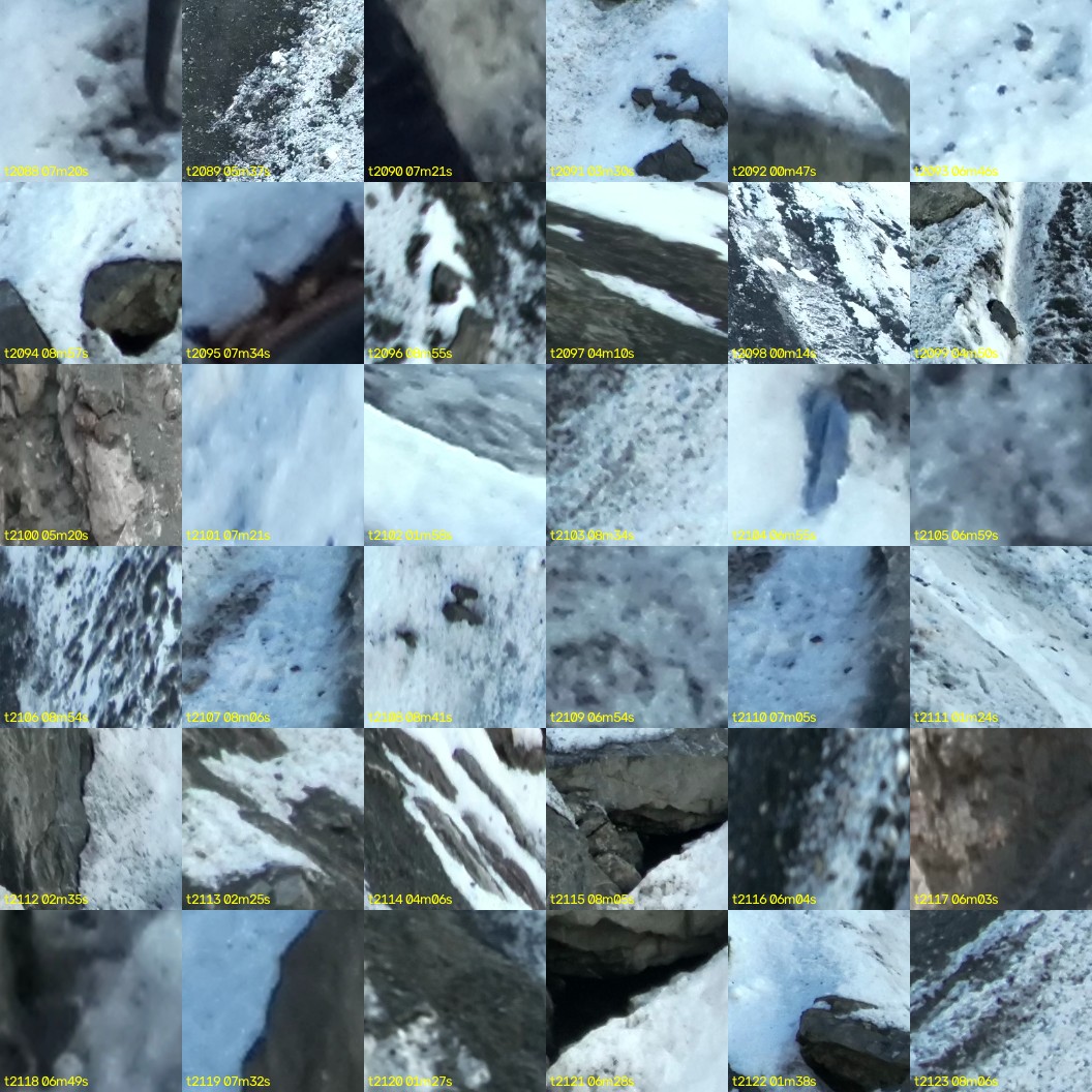montage_58.jpg