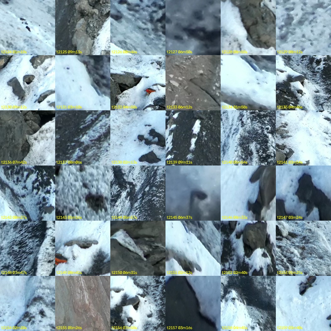 montage_59.jpg