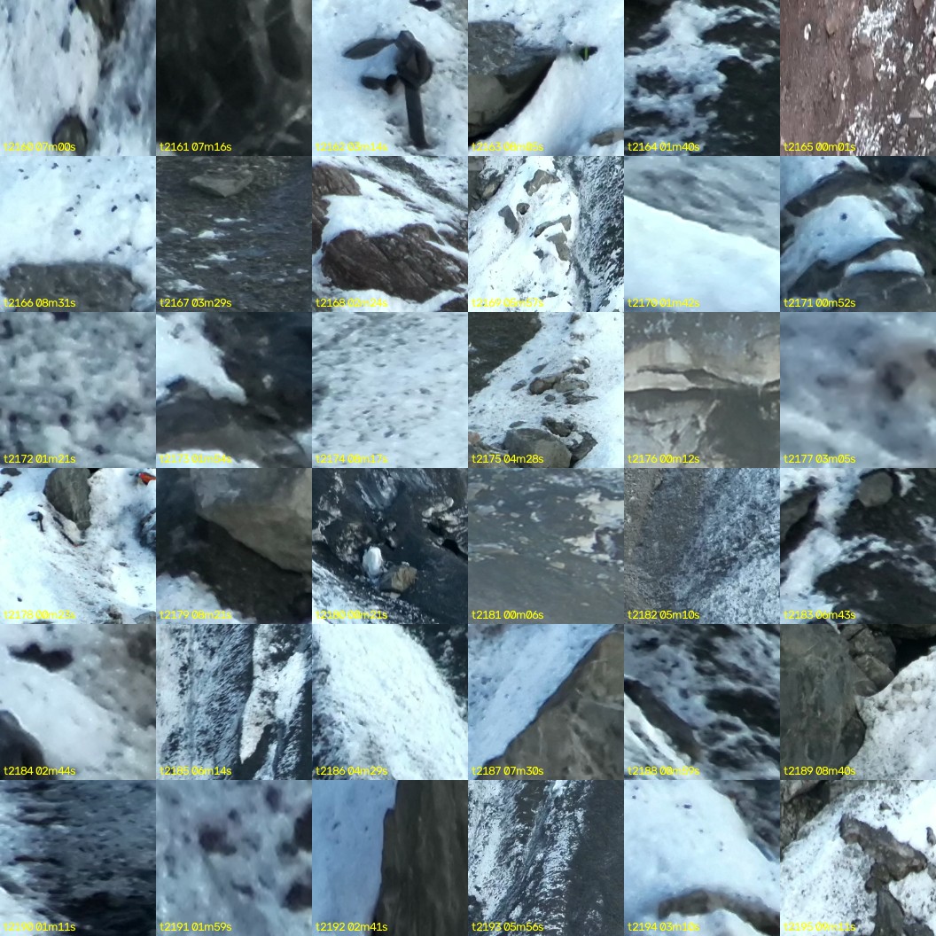 montage_60.jpg