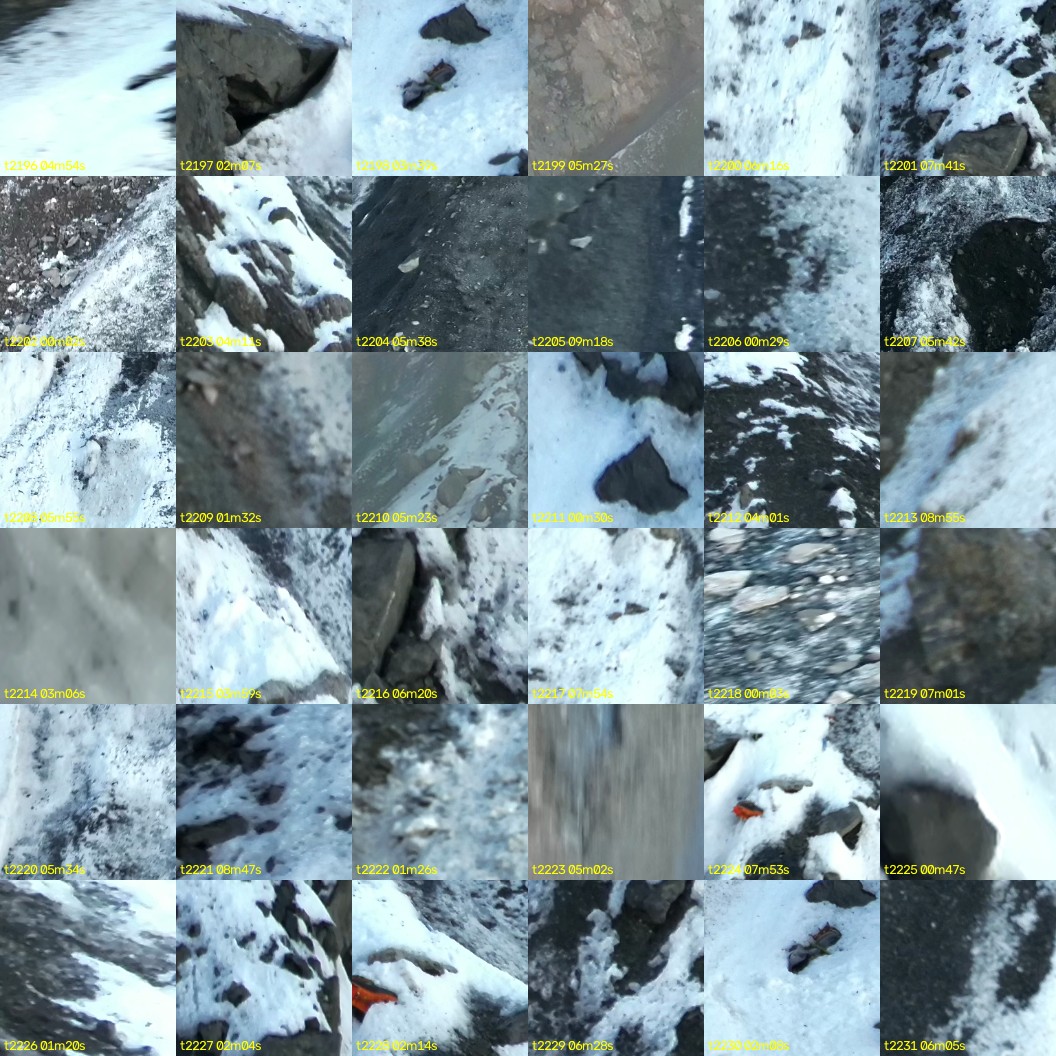montage_61.jpg