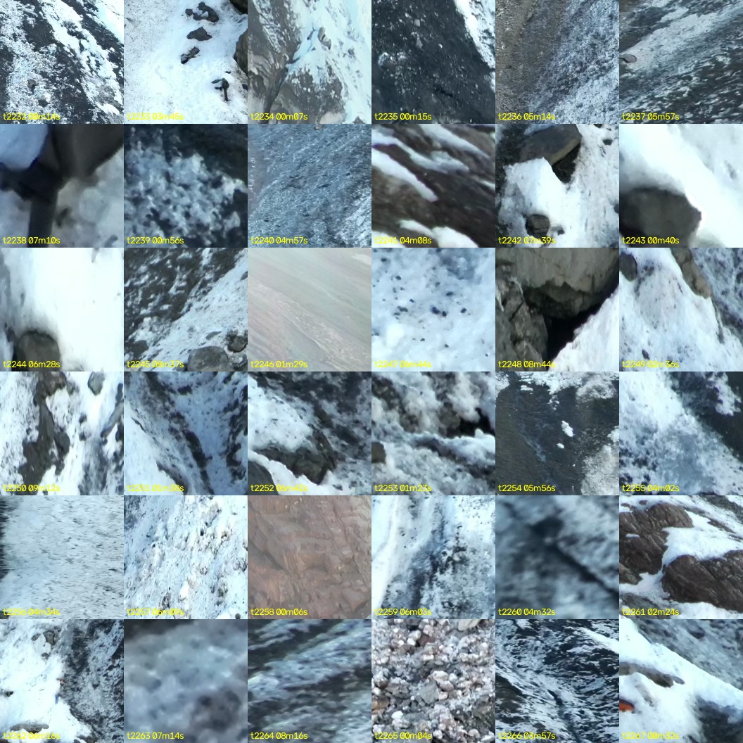 montage_62.jpg