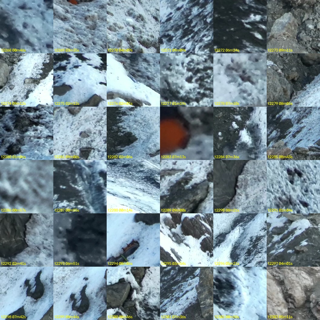 montage_63.jpg