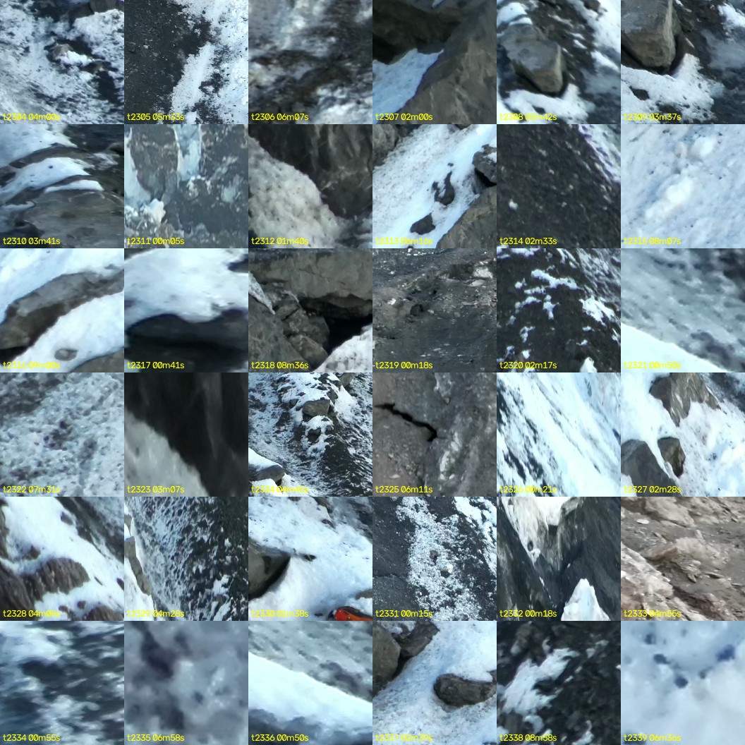 montage_64.jpg
