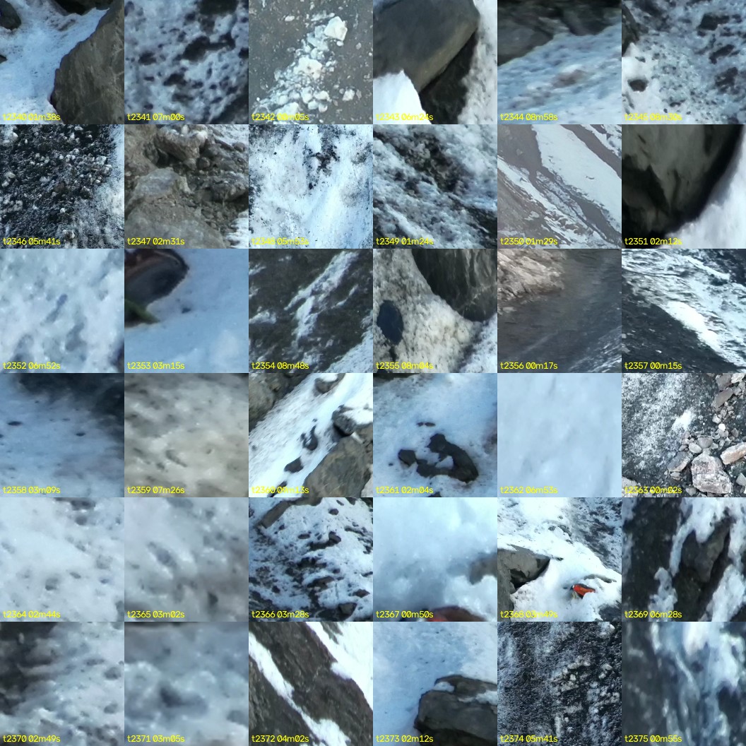 montage_65.jpg