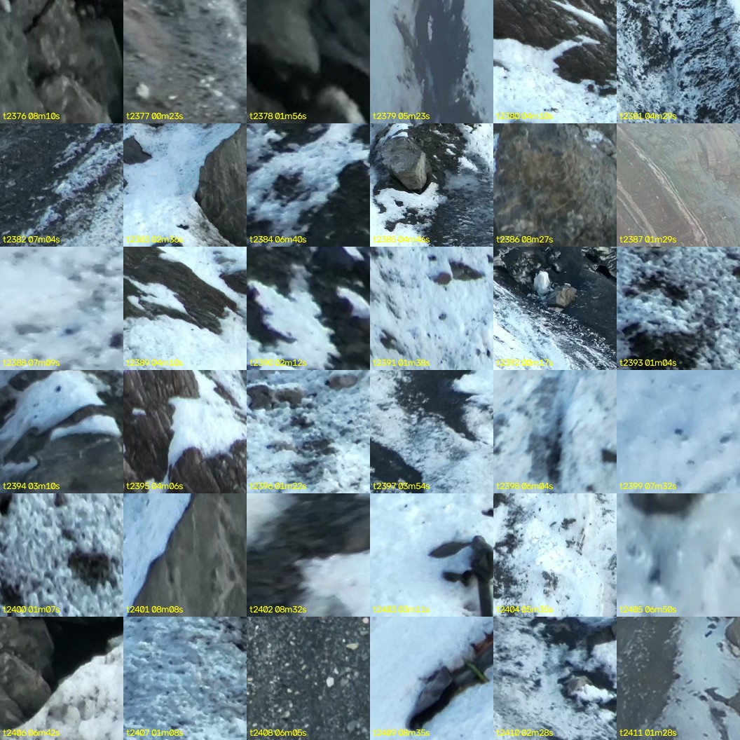 montage_66.jpg