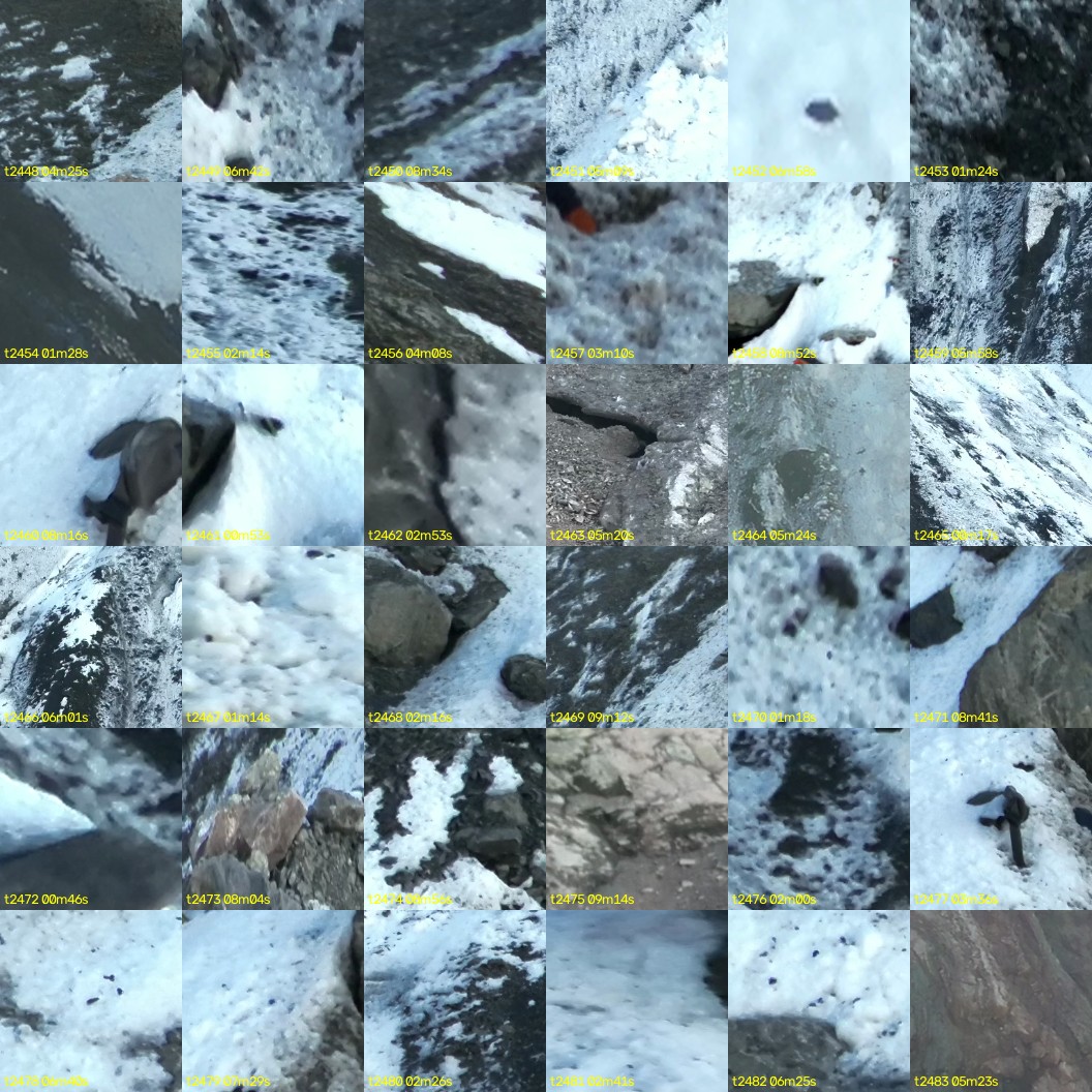 montage_68.jpg