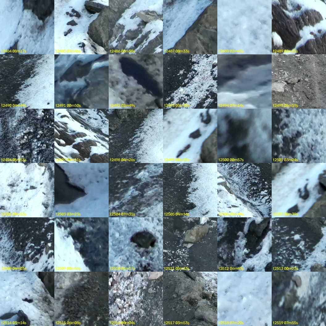 montage_69.jpg