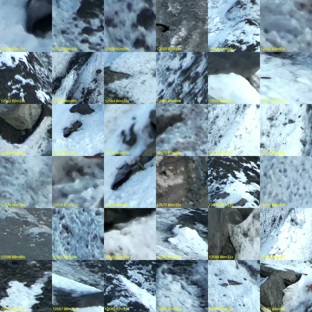 montage_71.jpg