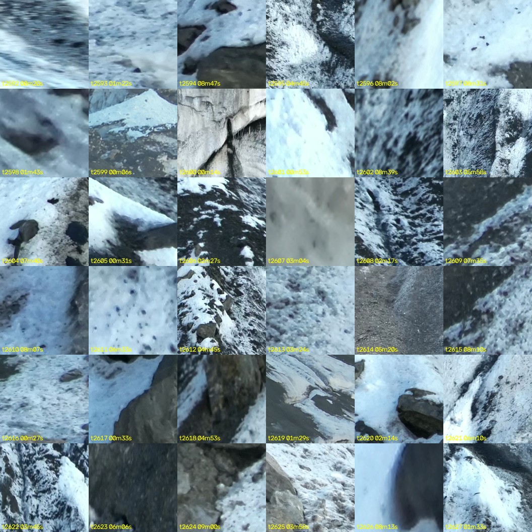 montage_72.jpg