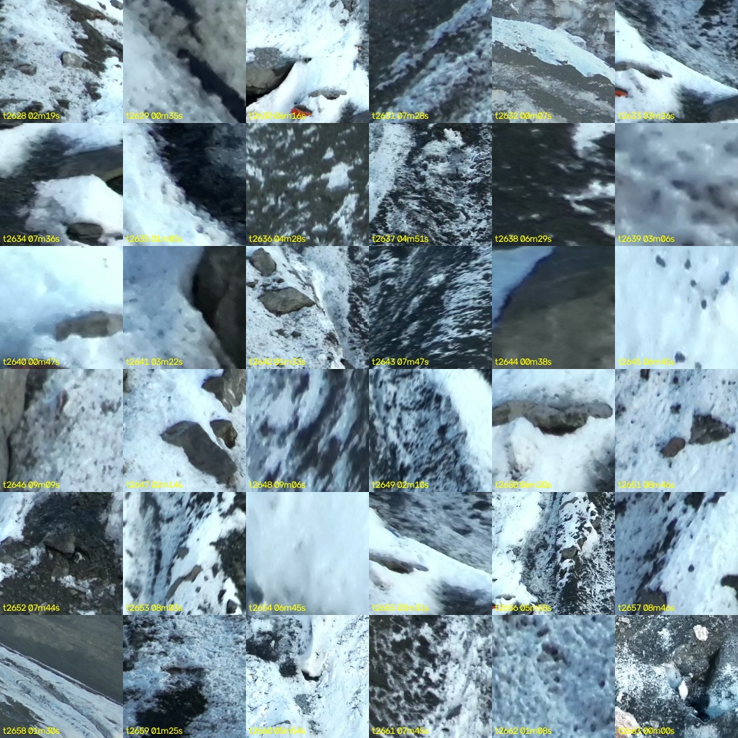 montage_73.jpg