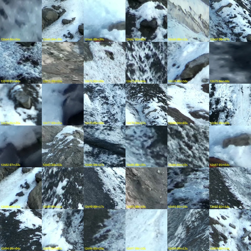 montage_74.jpg