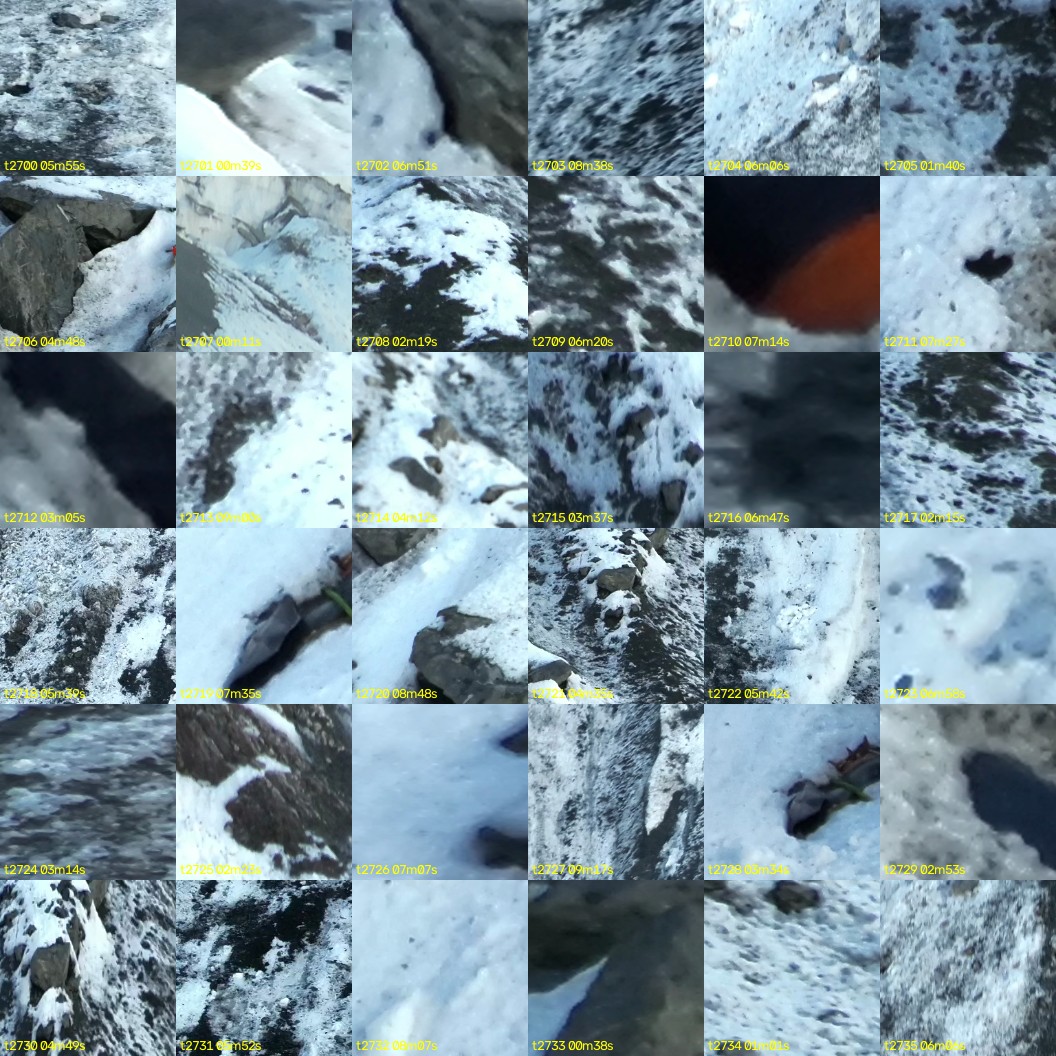 montage_75.jpg