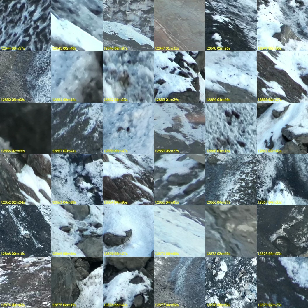 montage_79.jpg