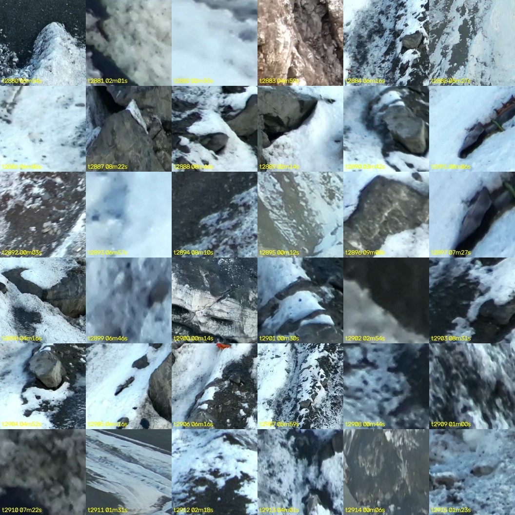 montage_80.jpg