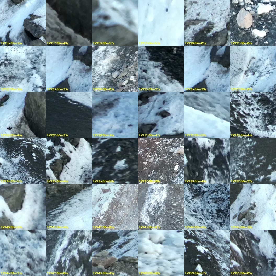 montage_81.jpg