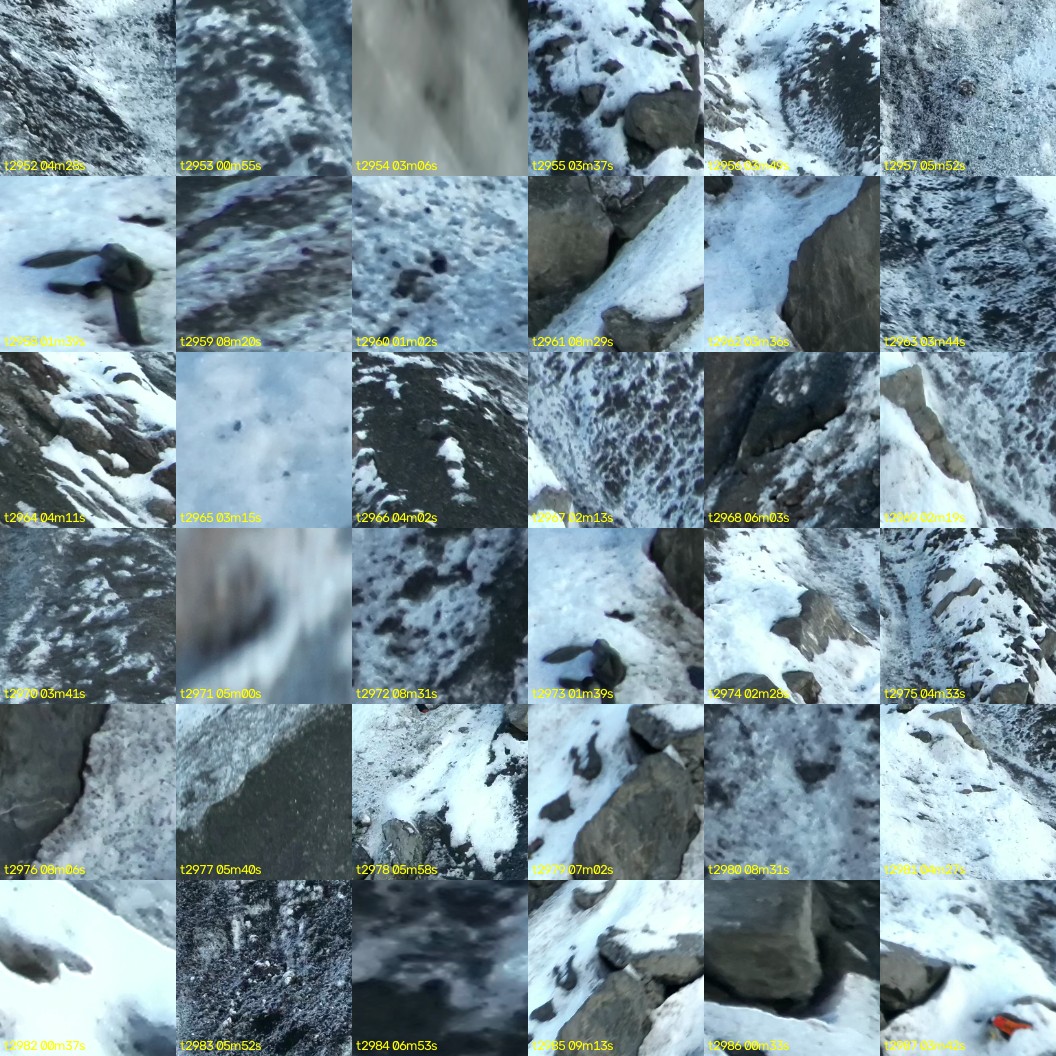 montage_82.jpg