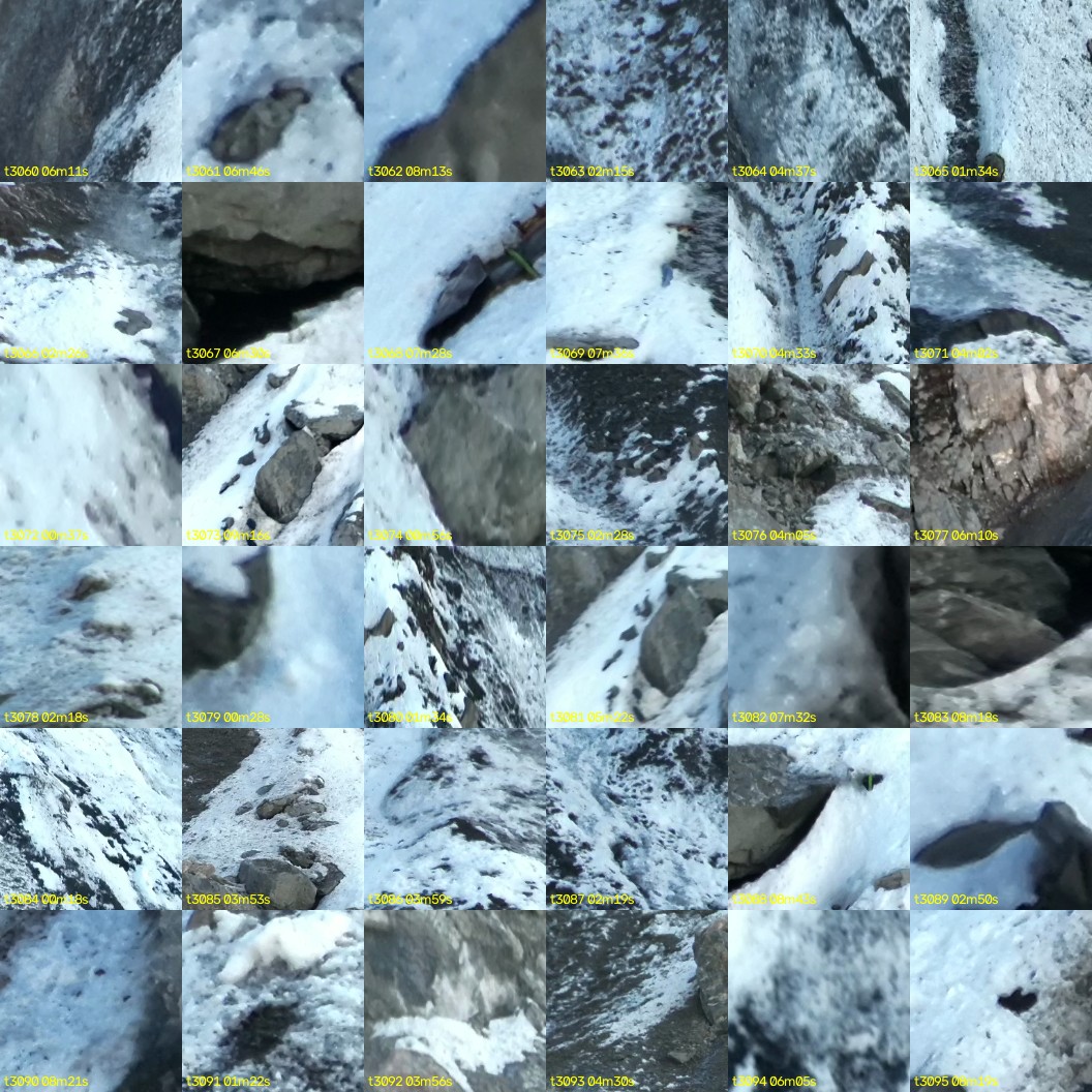 montage_85.jpg
