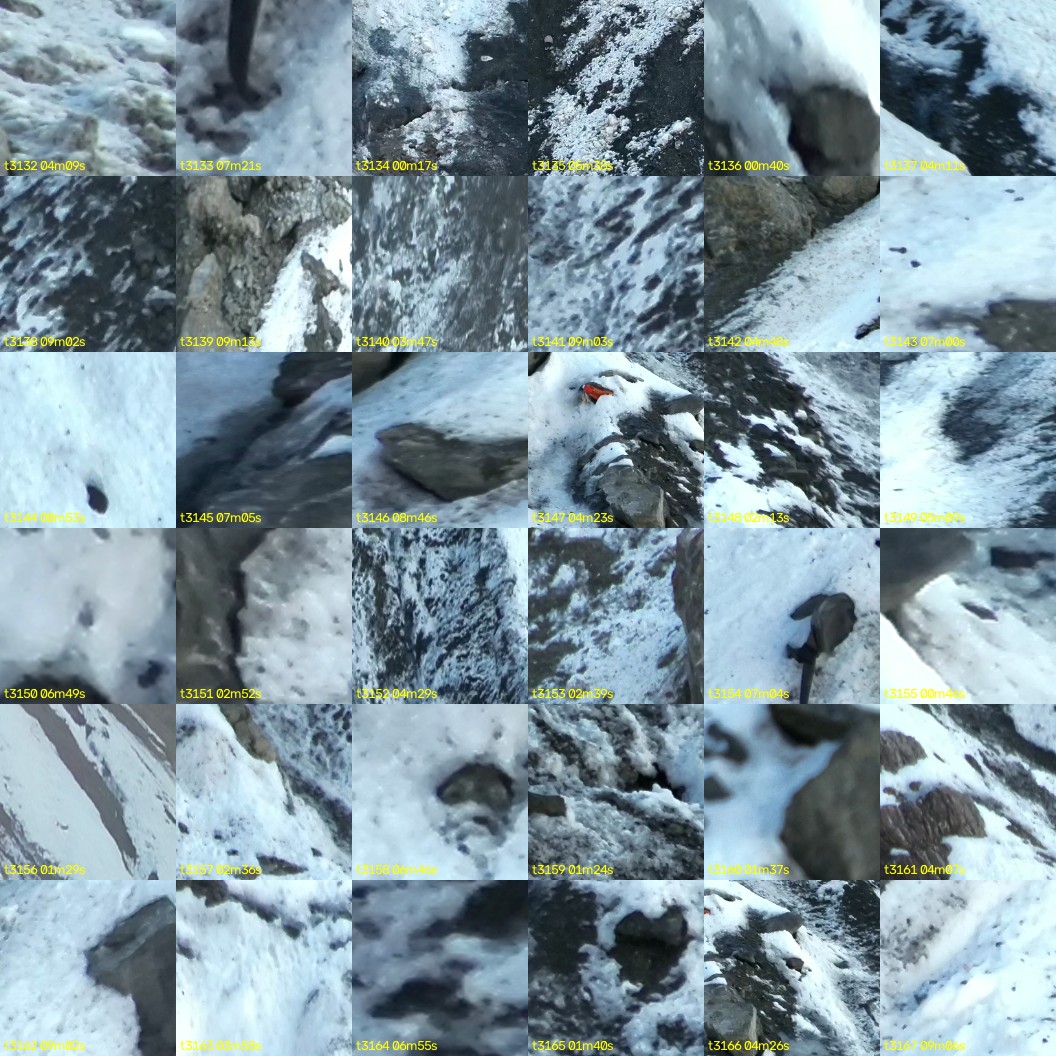 montage_87.jpg