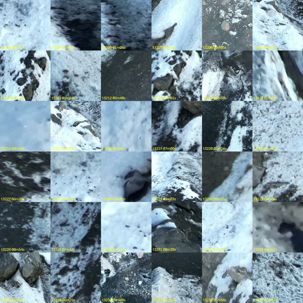 montage_89.jpg