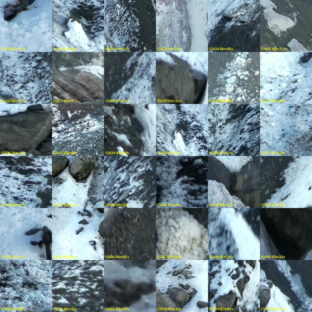 montage_95.jpg