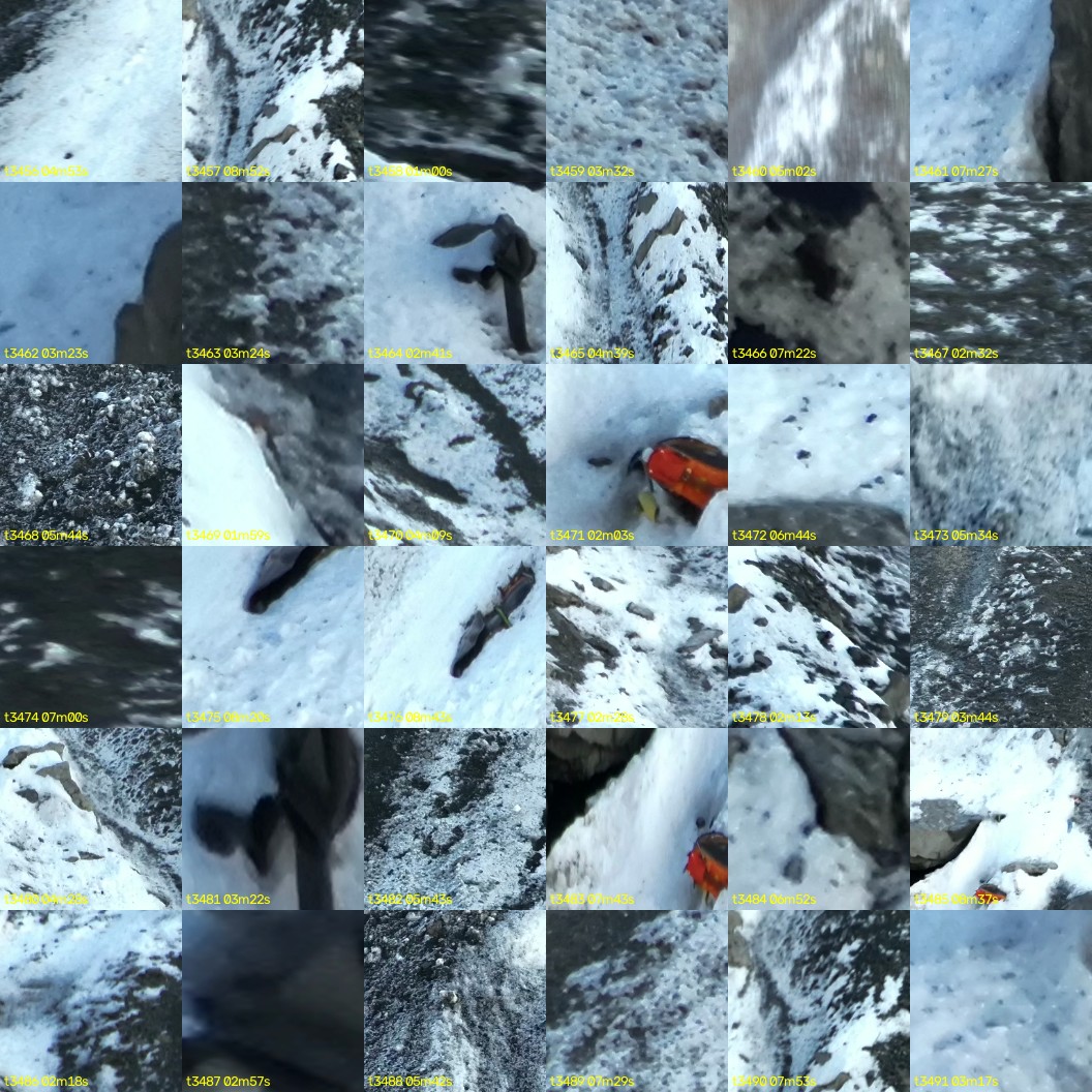 montage_96.jpg
