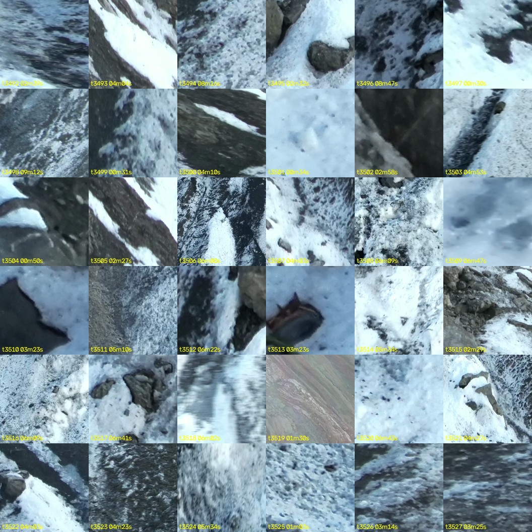 montage_97.jpg