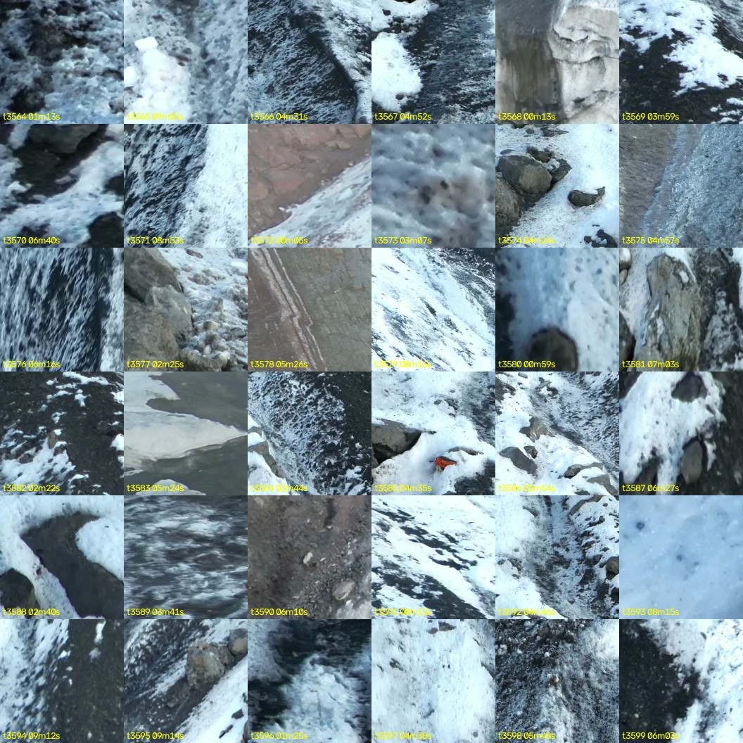 montage_99.jpg
