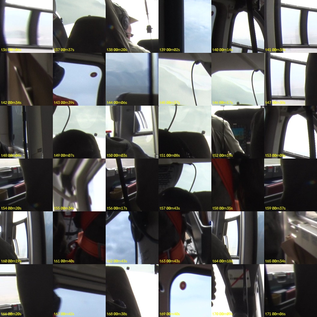 montage_01.jpg