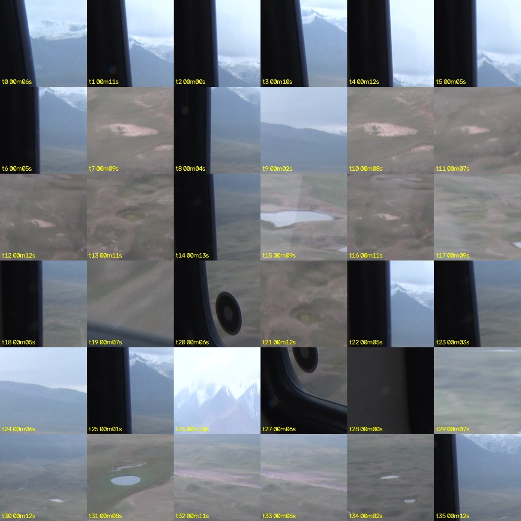 montage_00.jpg