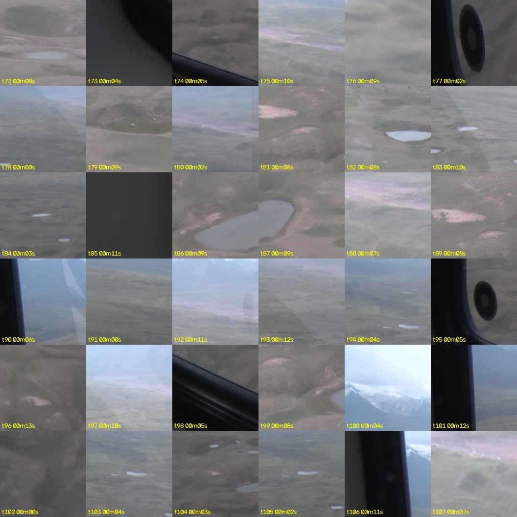 montage_02.jpg