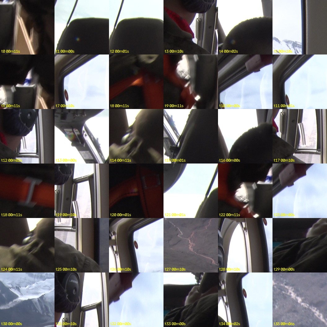 montage_00.jpg