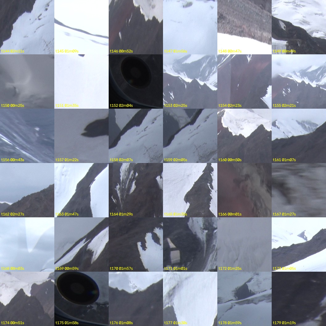 montage_04.jpg