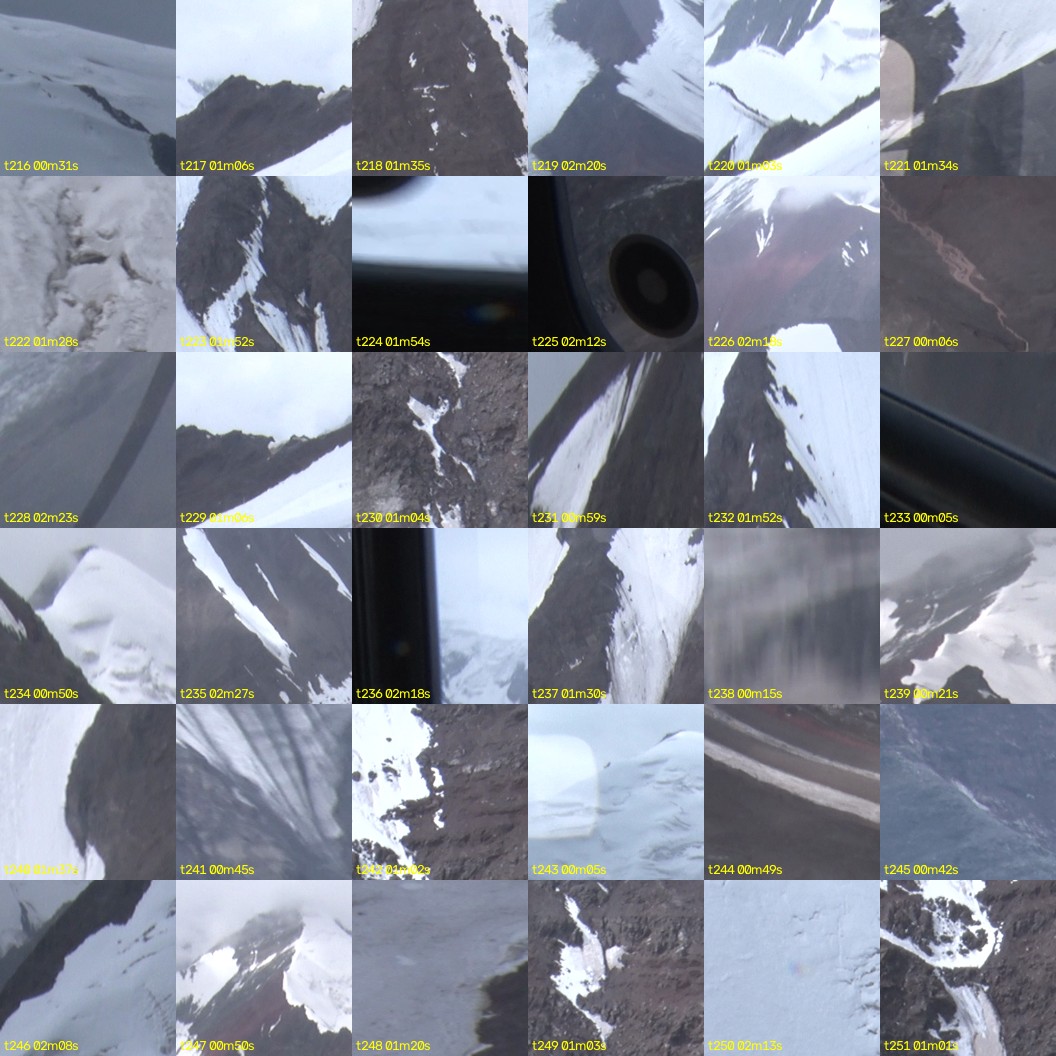 montage_06.jpg