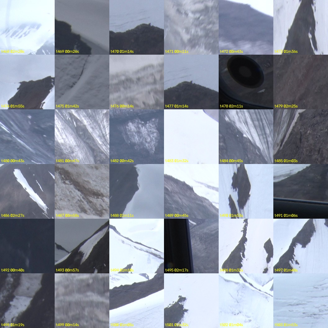 montage_13.jpg