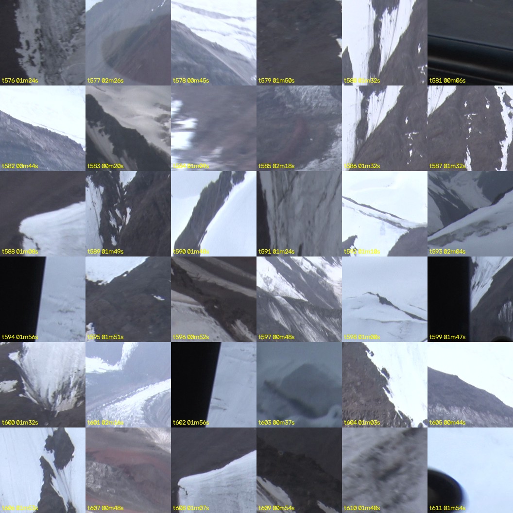 montage_16.jpg