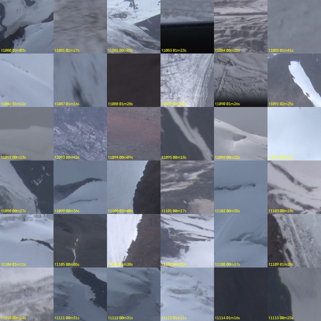 montage_30.jpg